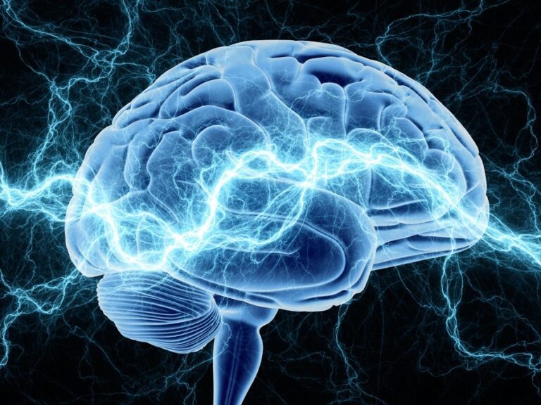 A picture of an image of a human brain.